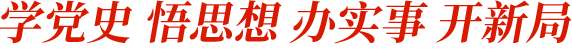 学党史 悟思想 办实事 开新局