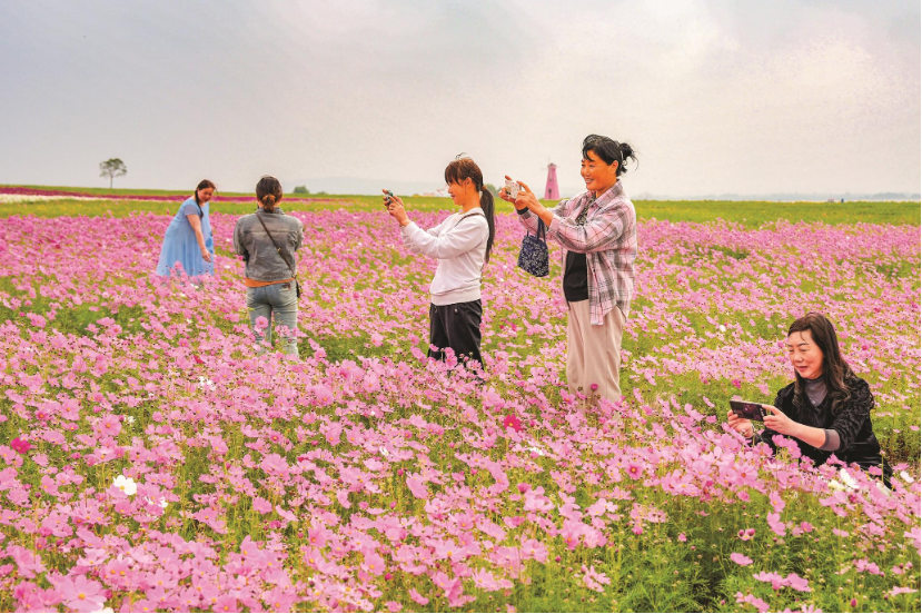 花海绽放新活力 共筹共建促繁荣